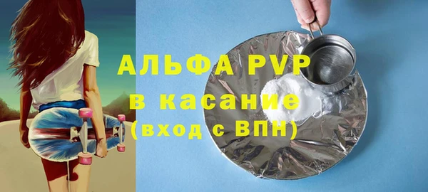 сатива Беломорск