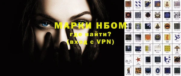сатива Беломорск
