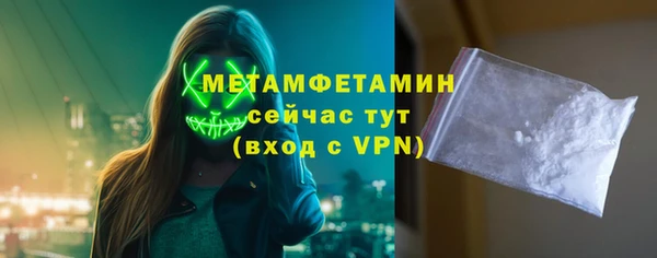 сатива Беломорск