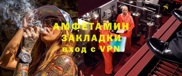 сатива Беломорск