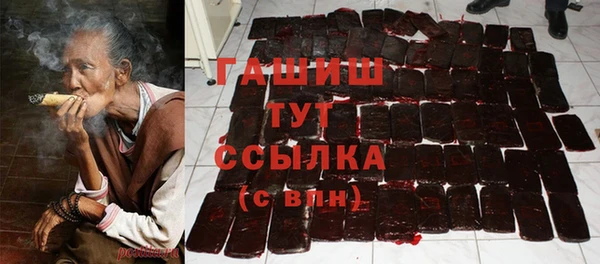 сатива Беломорск