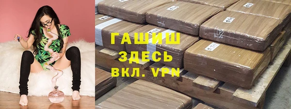 сатива Беломорск