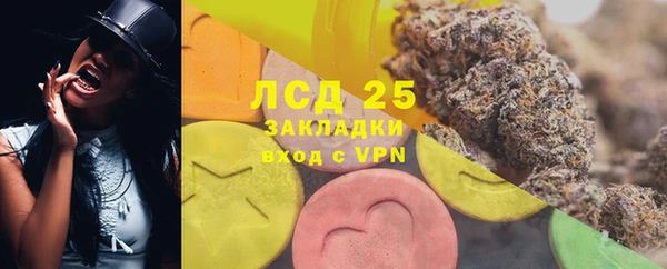 сатива Беломорск